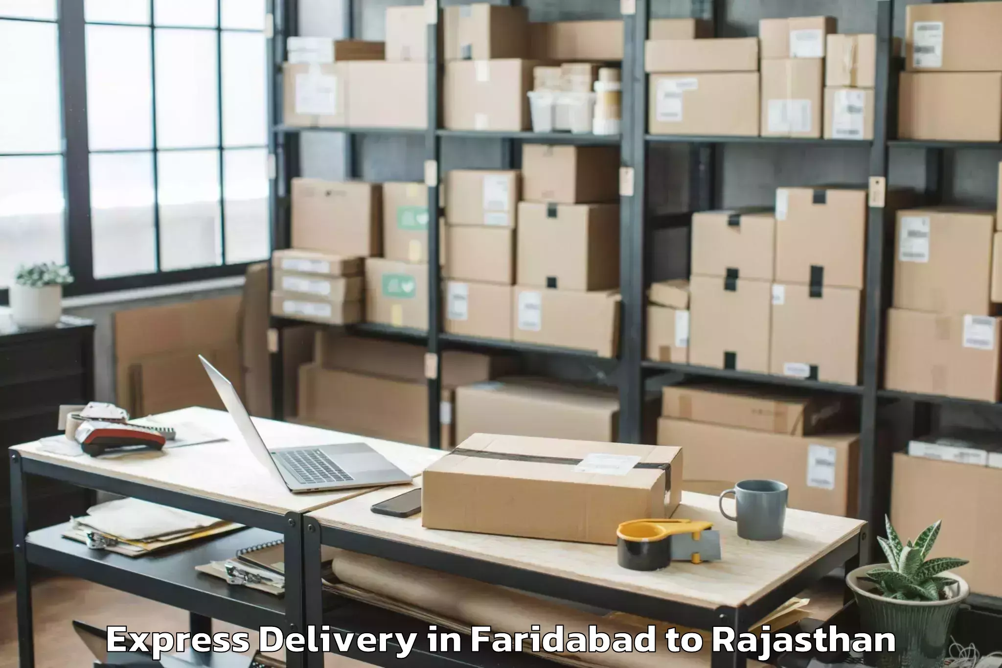 Professional Faridabad to Niwai Express Delivery